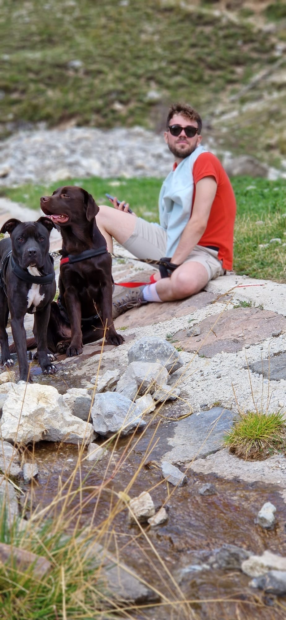 brigata-dark-hunter-cucciolo-labrador-cioccolato-nicolo-picone-testimonianza