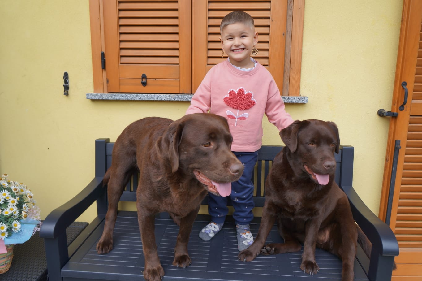 brigata-dark-hunter-labrador-cioccolato-bambini