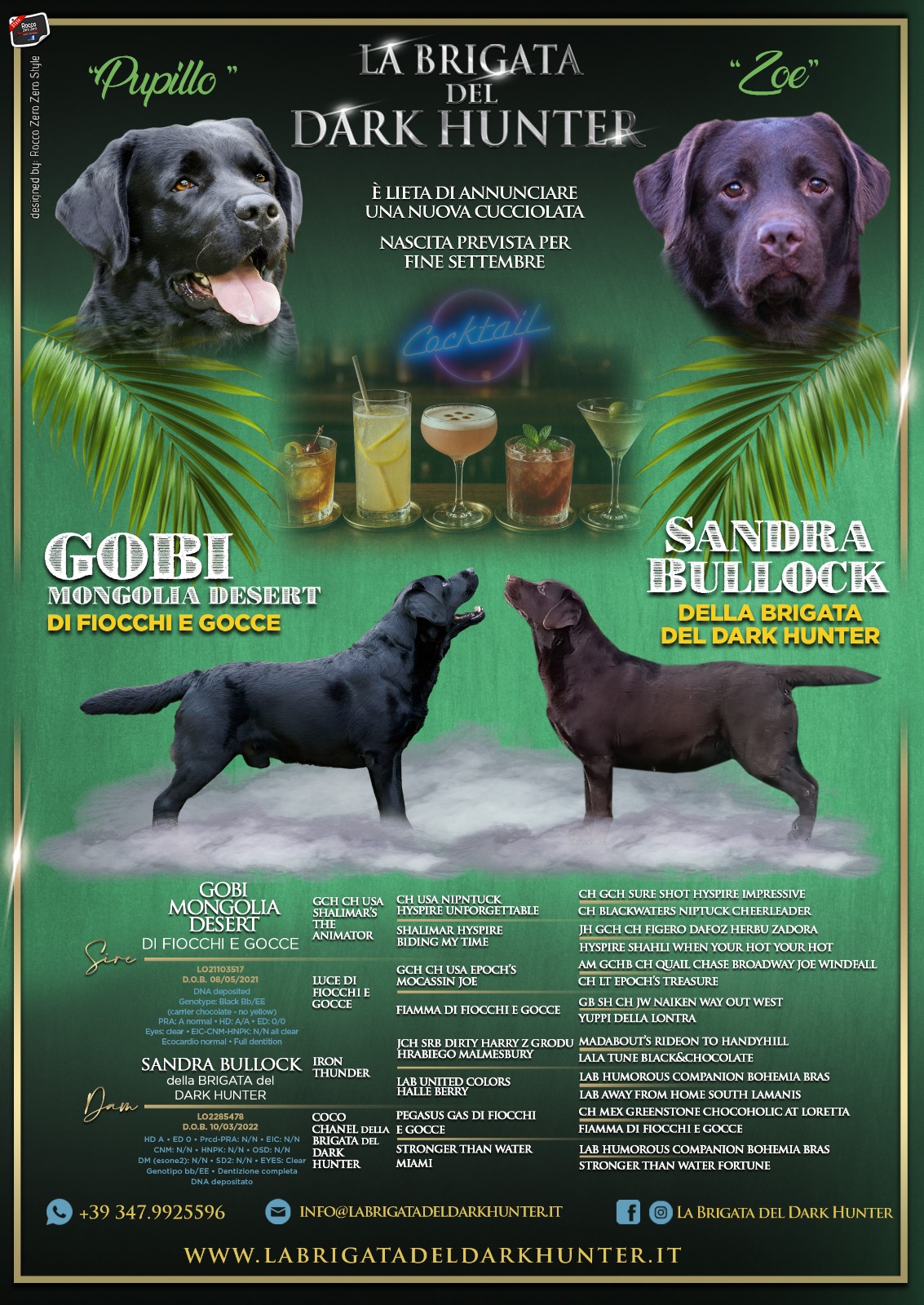 cucciolata nero-choco settembre 2026 cucciolata nero-choco settembre 2026